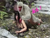 Horny monkey pounded the pussy of a hot manga chick